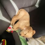Avery Rayborn - Facebook