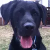 avery.bang - @avery.bang - TikTok