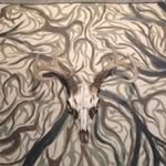 Avery - @avery_barker02 - Instagram