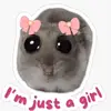 averybarry16 - @averybarry16 - TikTok