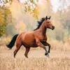 Avery Bradshaw - @avery.bradshaw5 - TikTok