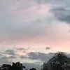 averychester - @avery..chester - TikTok