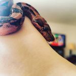 Avery Christensen - @toxic_spirit - Instagram