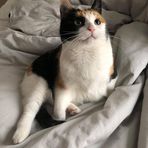 Avery Coffey - Facebook