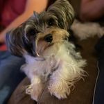 Tucker Avery-Lee Coffey - @tucker_coffey - Instagram