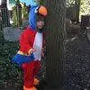 Avery - @avery.cookk - TikTok