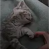 averycox266 - @averycox266 - TikTok