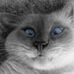 Avery Cureton - Facebook