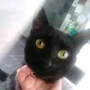 Avery - @avery_daniels_xx - TikTok