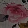 averydaniels32 - @averydaniels32 - TikTok