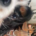 Avery Decker - Facebook