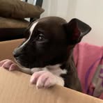 Avery Dillinger - Facebook