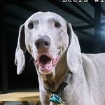 Avery Elizabeth DeLozier - @averytheweim - Instagram