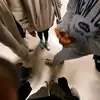 averydayimshuffling - @averylambert - TikTok
