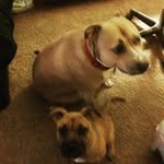 Avery - @averydial42021 - Instagram