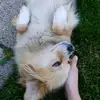Avery Diaz - @avery.diaz70 - TikTok