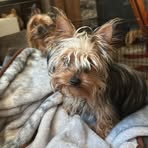 Avery Dickerson - Facebook