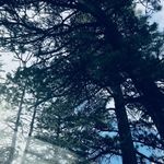 Avery Dillon - @avery_dill0n - Instagram