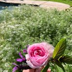 Avery Dillon - Facebook