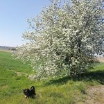Avery - @avery_dobsonp1.3 - Instagram