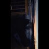 Avery  - @avery_doe76 - TikTok