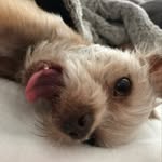 @averydollard - Instagram