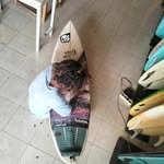 raff1 Avery - @raff1_avery_dos_santos - Instagram
