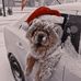 Avery Downs - Facebook
