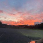 Avery cohen - @avery_drewgolf - Instagram