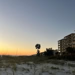 avery duffy - @aaveryduffy - Instagram