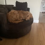 Avery Duke - @finne_gizmo_ - Instagram