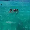 Avery Dunham - @avery.dunham3 - TikTok