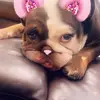 Avery Dunham - @averyjdunham - TikTok