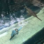 Avery Dunlap - @witt2ndperioddwa - Instagram