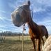 Avery Dunlap - Facebook