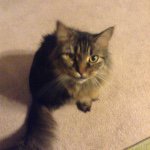 Avery Dunlap - @meowcat223 - Instagram