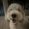 avery - @eaton.avery - TikTok