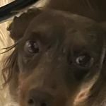 Avery Eaton - @avery.me888 - Instagram