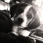 Avery Eberhard - Facebook