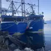 Avery Elliott - @avery.elliott50 - TikTok