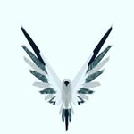 Avery Escobedo - @averyescobedo - Instagram
