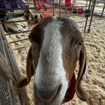 Avery Etheridge - @averye_40 - Instagram