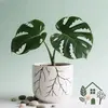 Avery Evans - @avery.evans88 - TikTok