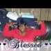 Everett Avery - Facebook