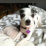 Avery Jenelle Farley - @averyjenelle - Instagram