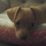 avery farmer - @karpgamer111 - Instagram