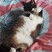 Avery Farmer - Facebook