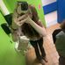 Avery Grace Farris - Facebook