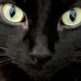 Avery Fast - Facebook