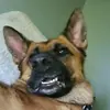 Avery Fast - @avedoggy55 - TikTok
